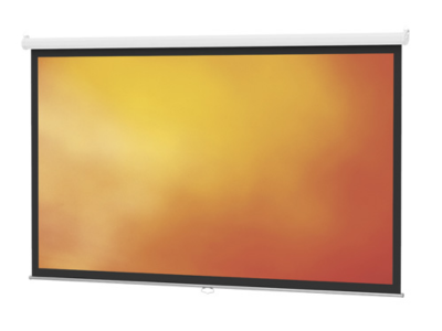 Da-Lite Model B Manual Projection Screen - 40184